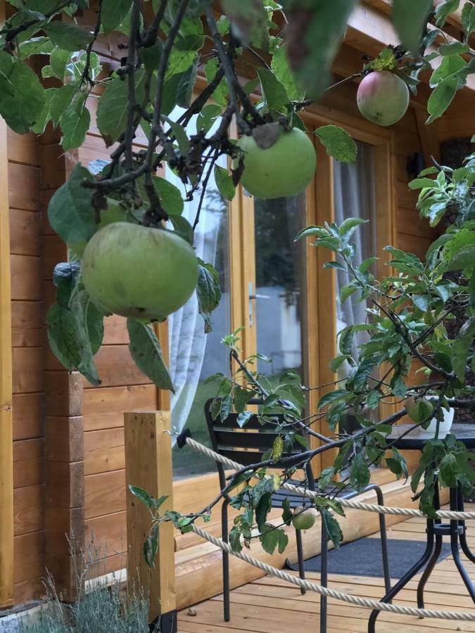 Apple House Villa Cetinje Exteriör bild