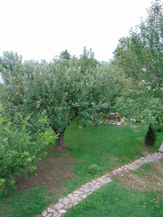 Apple House Villa Cetinje Exteriör bild