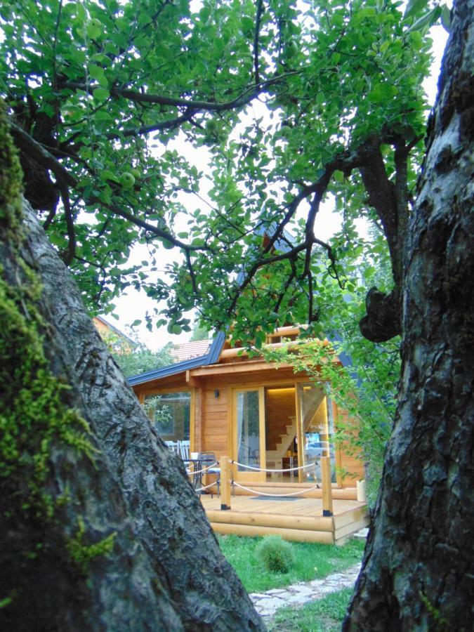 Apple House Villa Cetinje Exteriör bild